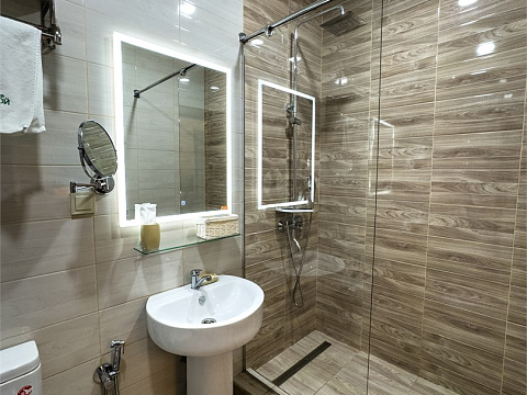 Санаторий «Лесной», г. Железноводск. Двухместный номер «Люкс»